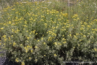 rra delle Concazze-05-08-2014 11-23-24